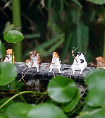 Angler Katzen (7 Varianten)