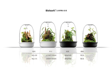 Bioloark Luji Cups MH/MQ