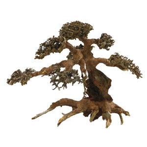 AQUADECOR Aqua Bonsai S, 15 - 20 cm