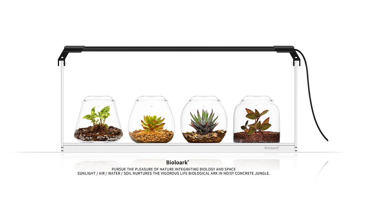 Bioloark SET LH-02 ( 4* Bubble Cup, Acryl Stand + LED )