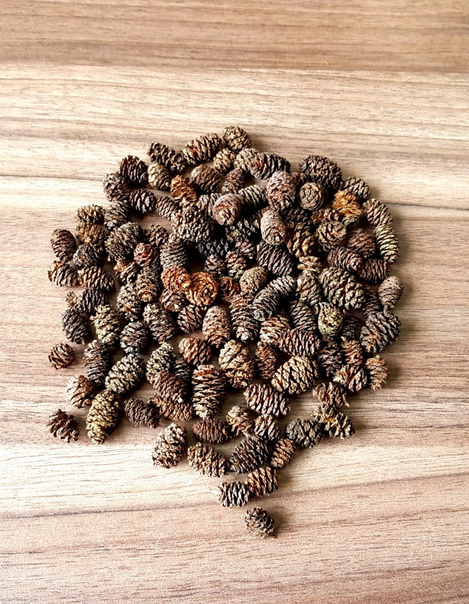 Alder cones 25g/40g