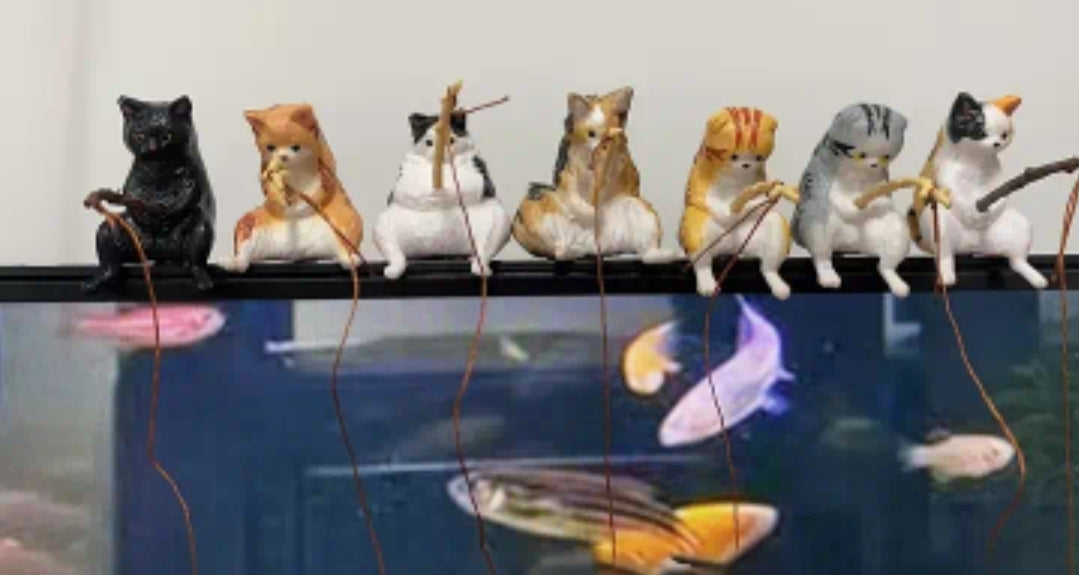 Angler Katzen (7 Varianten)