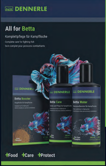 Dennerle All for Betta Bundle