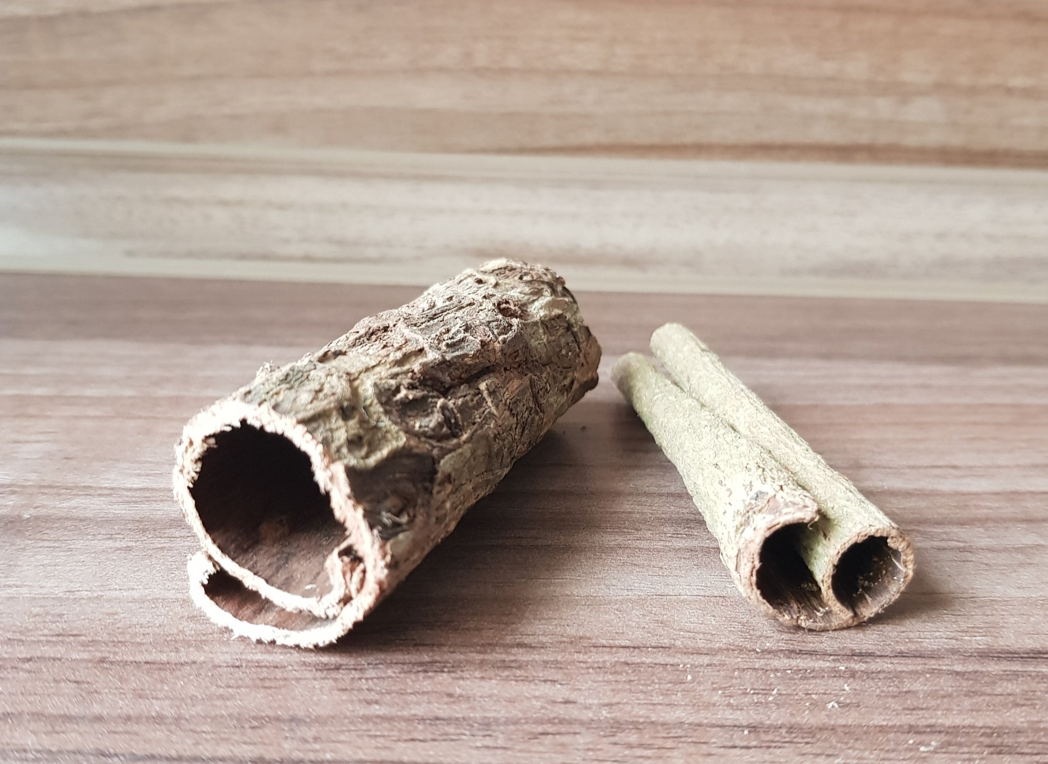 Indian almond tube